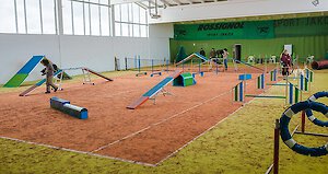 Hotel mit großzügiger Hundehalle zum Austoben und Trainieren für Hunde